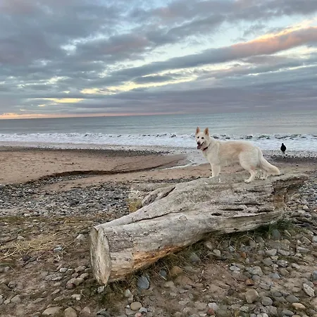Luxury Caravan, On The Redcar